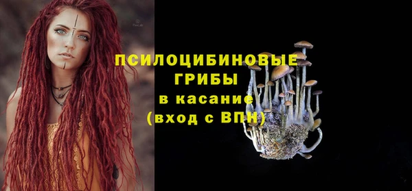 героин Богородицк