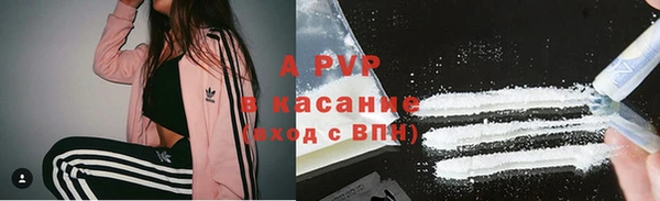 прущая мука Богданович