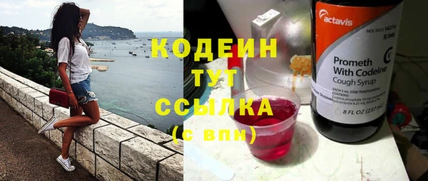 молекула духа Белокуриха
