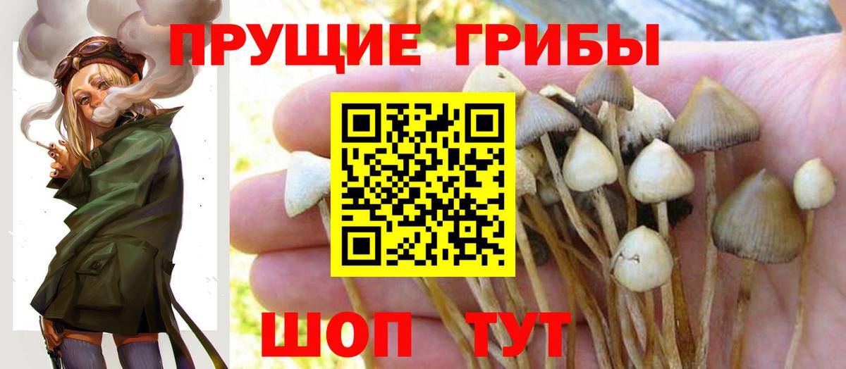 Псилоцибиновые грибы прущие грибы Острогожск